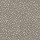 Milliken Carpets: Exotic Escape - Dapple Dapple Mineral